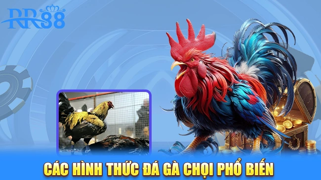 Các hình thức đá gà chọi phổ biến cho bạn trải nghiệm thú vị