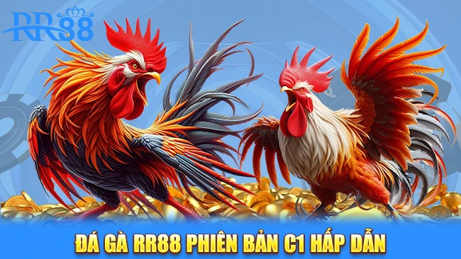 Đá gà RR88 phiên bản C1 hấp dẫn